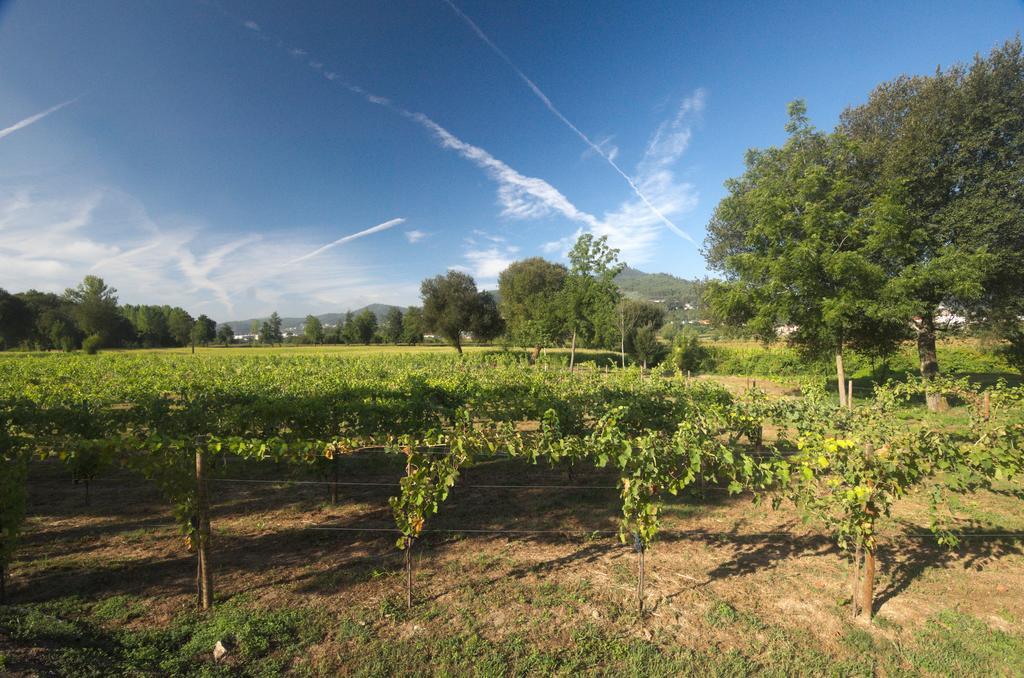 1720 Quinta Da Cancela - Winery & Farmhouse Гімарайнш Екстер'єр фото