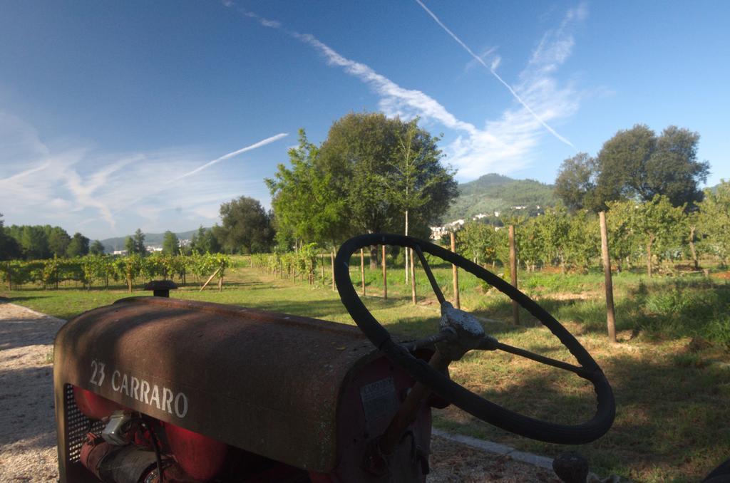 1720 Quinta Da Cancela - Winery & Farmhouse Гімарайнш Екстер'єр фото